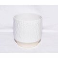 Gardencontrol Rippled Ceramic Planter White GA2842337